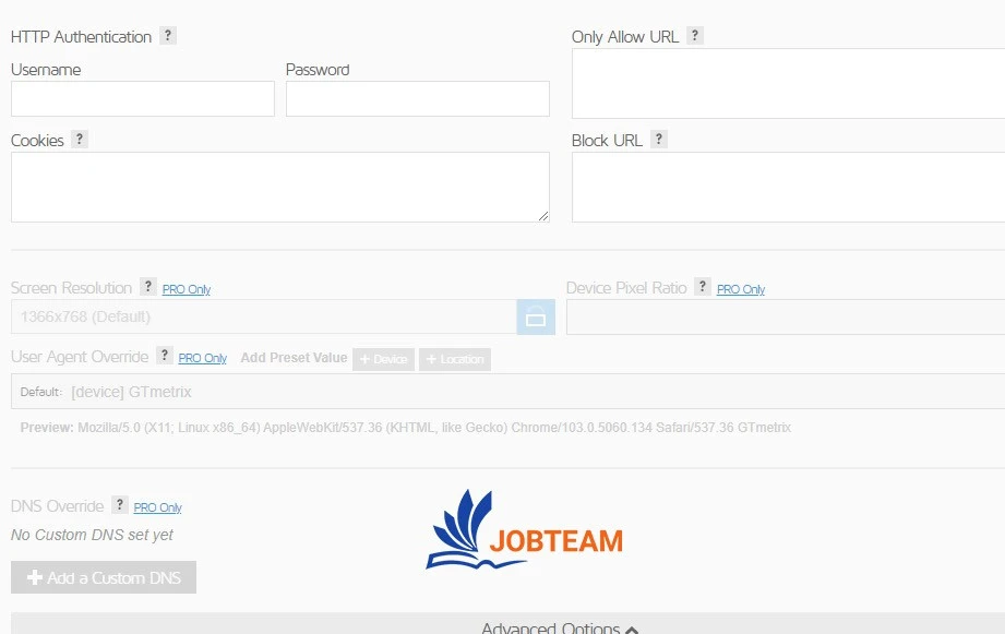 آنالیز در جی تی متریکس بخش پیشرفته gtmetrix