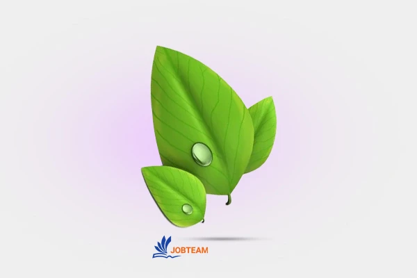الگوریتم freshness بررسی کلی الگوریتم freshness
