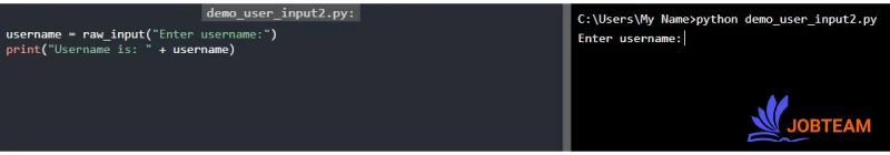 متد ()raw_input در پایتون (Python)