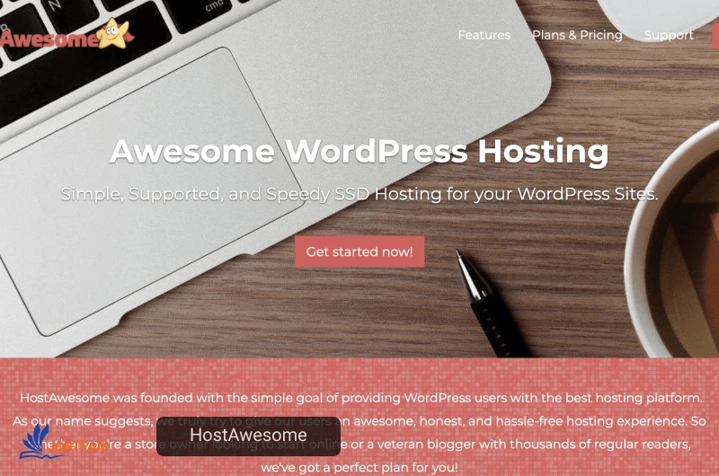 HostAwesome  100مگابایت فضای ذخیره سازی و ۲۰۰۰ بازدید از صفحه را به عنوان بخشی از برنامه میزبانی رایگان وردپرس خود ارائه می دهد.